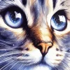Cat Eyes Diamond Painting