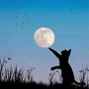 Cat Reaching For The Moon Diamond Painting