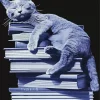 Cat Sleeping On Books Diamond Painting