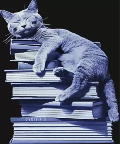 Cat Sleeping On Books Diamond Painting