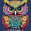 Colorful Owl Bird Diamond Painting