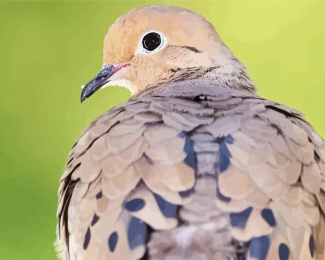 cute mourning dove Diamond Paintings Cute Mourning Dove Diamond Painting