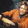 Dean Richard Anderson Diamond Painting
