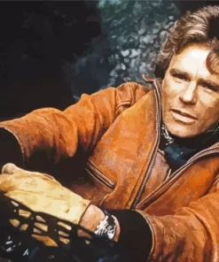 Dean Richard Anderson Diamond Painting