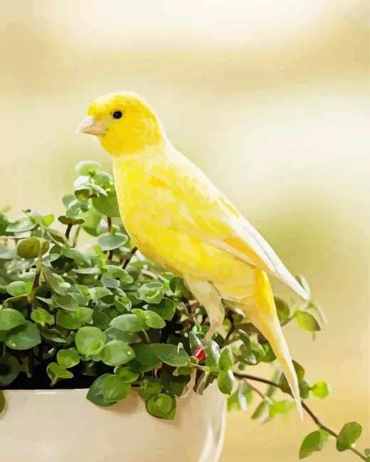 domestic canary Diamond Paintings Domestic Canary Diamond Painting