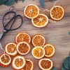 Dried Orange Slices Diamond Painting