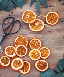 Dried Orange Slices Diamond Painting