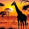Giraffe In Sunset Art Diamond Painting