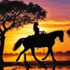 Girl Horse Silhouette Art Diamond Painting