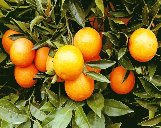 green leaves orange tree Diamond Paintings Green Leaves Orange Tree Diamond Painting
