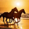 Horses Beach Diamond Painting