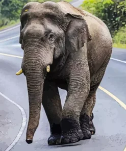 Indian Elephant Diamond Painting