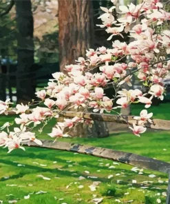 Magnolia Tree Diamond Painting