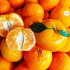 Mandarin Orange Diamond Painting