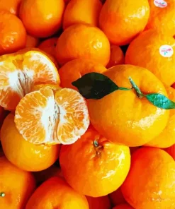 Mandarin Orange Diamond Painting