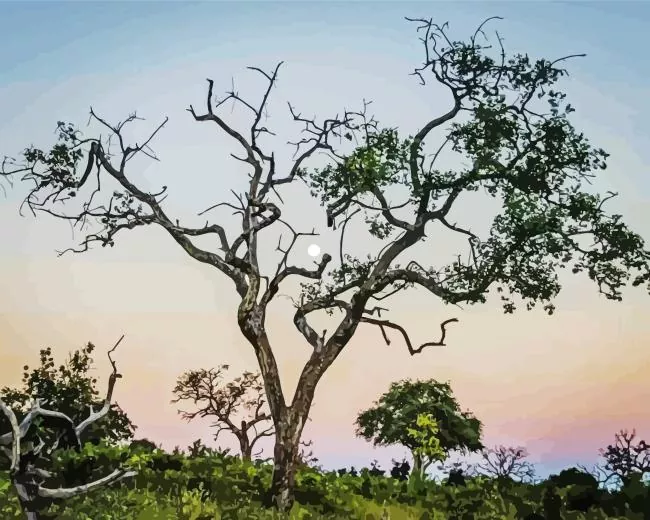 manketti tree Diamond Paintings Manketti Tree Diamond Painting