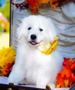 Maremma Sheepdog Puppy Diamond Painting