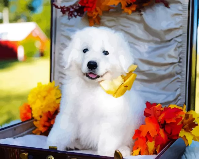 maremma sheepdog puppy Diamond Paintings Maremma Sheepdog Puppy Diamond Painting