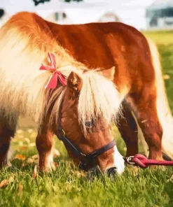 Miniature Horse Diamond Painting