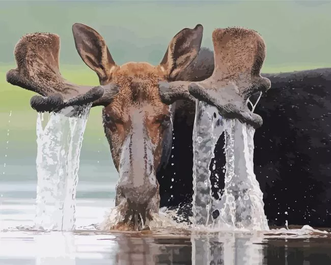 moose in river Diamond by Numbers Moose In River Diamond Painting