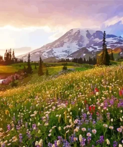 Mount Rainier Diamond Painting