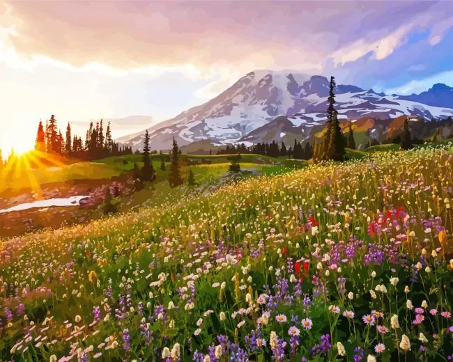 mount rainier Diamond Dotz Mount Rainier Diamond Painting