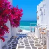 Mykonos Flowers Diamond Painting