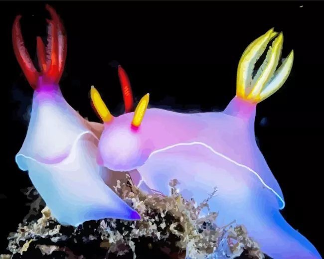 nudibranch animal Diamond Paintings Nudibranch Animal Diamond Painting