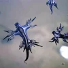 Nudibranch Blue Diamond Painting