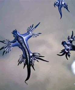 Nudibranch Blue Diamond Painting