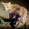 Ocelot Wild Cat Diamond Painting