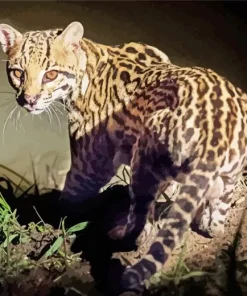 Ocelot Wild Cat Diamond Painting