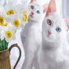 Odd Eyed White Cats Diamond Painting