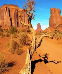 Oljato Monument Valley Arizona Diamond Painting
