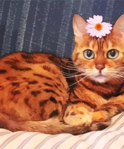 Orange Bengal Cat Diamond Painting