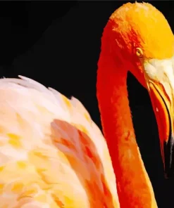Orange Flamingo Bird Diamond Painting