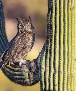 Owl On Cactus Diamond Painting