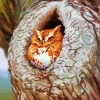 Owl Tree Hole Diamond Painting