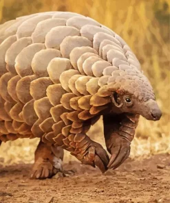 Pangolin Animal Diamond Painting
