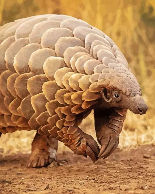 pangolin animal Diamond With Numbers Pangolin Animal Diamond Painting