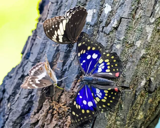 purple emperor butterfly Diamond Paints Purple Emperor Butterfly Diamond Painting