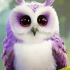 Purple Owl Diamond Painting