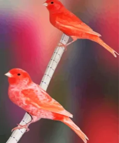 Red Factor Canary Birds Diamond Painting