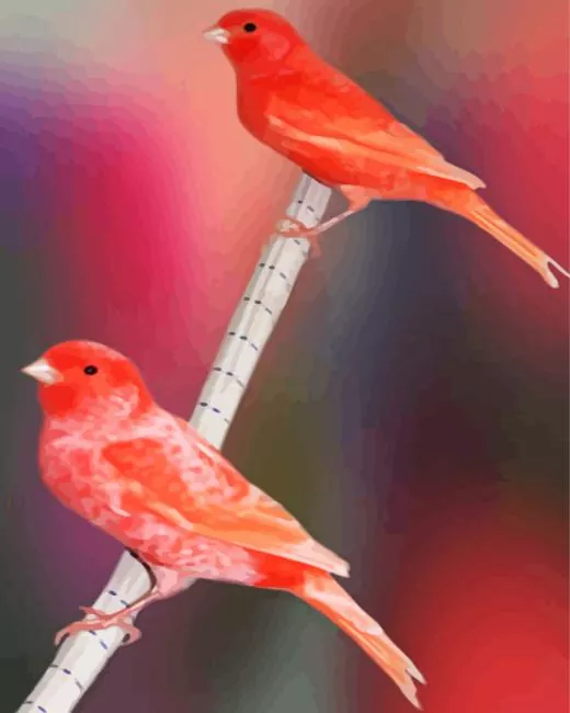 red factor canary birds Diamond By Numbers Red Factor Canary Birds Diamond Painting