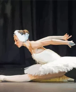 Russian Ballet Dancer Diamond Painting