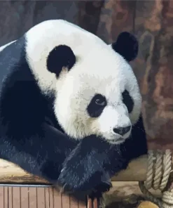 Sad Panda Diamond Painting
