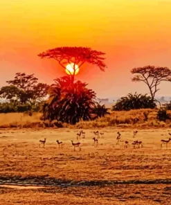 Sunset Country Diamond Painting