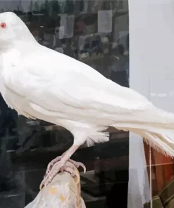 White Raven Bird Diamond Painting