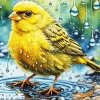 Yellow Canary Bird Under Rain Diamond Painting