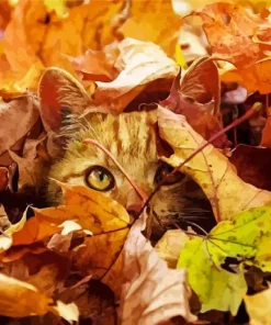 Cat in Fall Leaves Diamond Painting